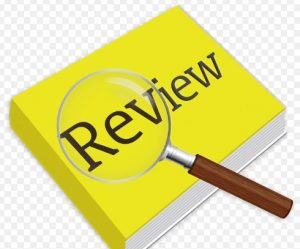 jasa review