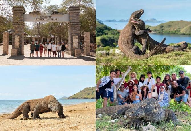 Komodo Boat Tour Pengalaman Wisata Laut Tak Terlupakan di Nusa Tenggara