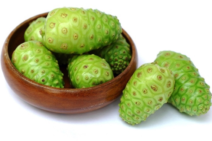 buah mengkudu