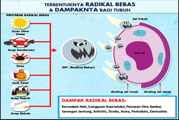 Radikal Bebas Memicu Penyakit Mematikan