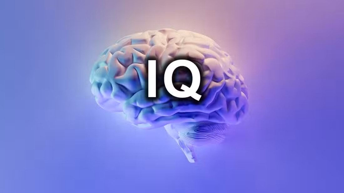 Banyak Orang Salah Kaprah! Inilah Fakta Sebenarnya tentang Tes Online IQ