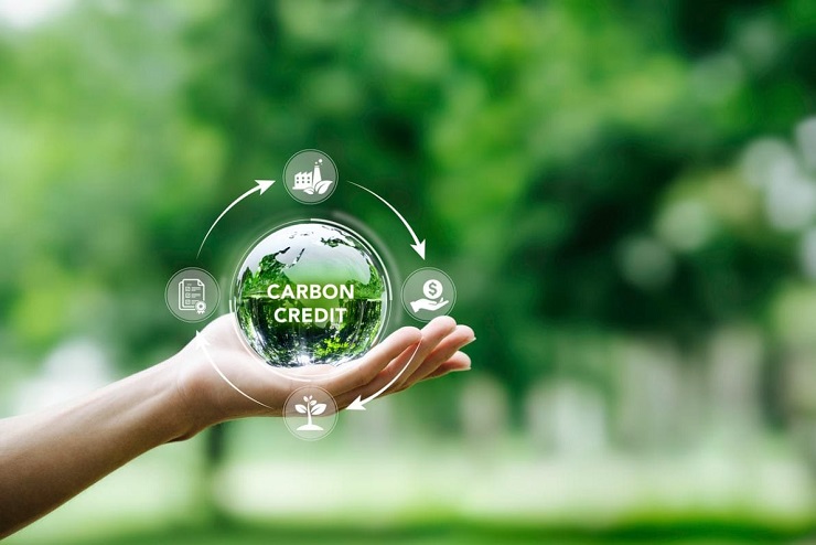 Konsep dan Implementasi Carbon Credit