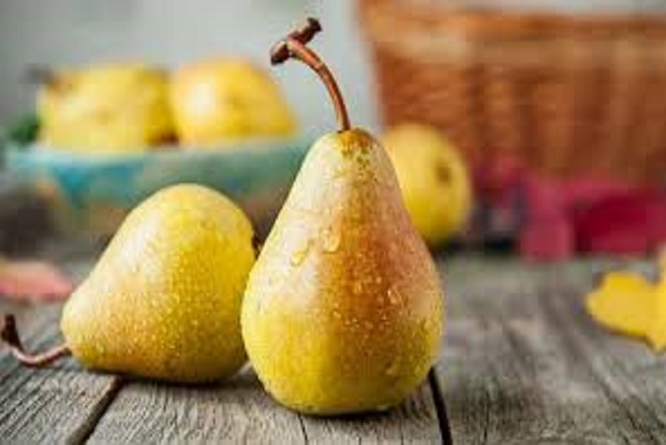 Lagi Program Diet ? Bingung Mau Makan Apa ? 5 Makanan Ini Bisa Di Coba 