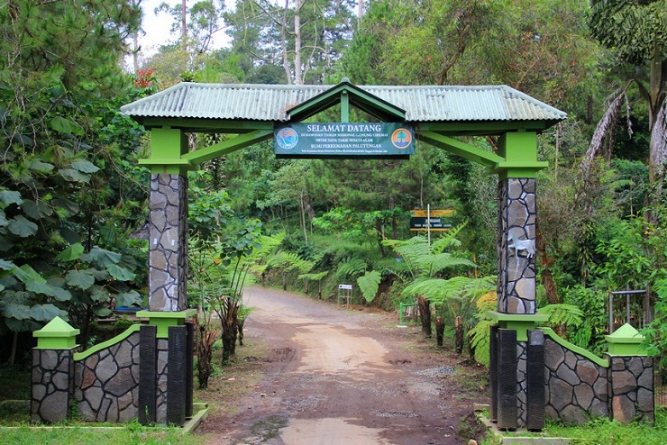 Wisata Alam Kuningan Jawa Barat yang Wajib dikunjungi