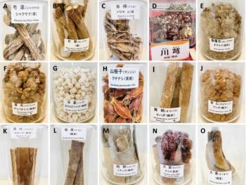 Panduan Mudah Melakukan Reservasi Konsultasi di K-Kampo untuk Pengobatan Tradisional Jepang