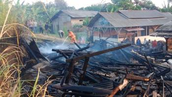 Kandang Ternak di Ambarawa Terbakar, 7.000 Anak Ayam Hangus Dilalap Api